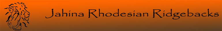 Jahina Rhodeaian Ridgebacks